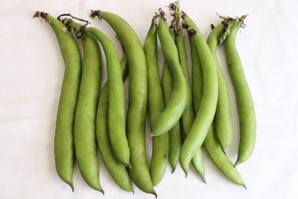 Broad Bean Pea and Quinoa Salad