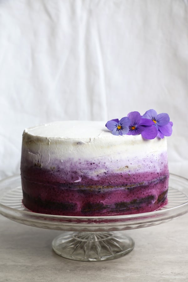 Blueberry Cake with Coconut Frosting (gluten-free & vegan)