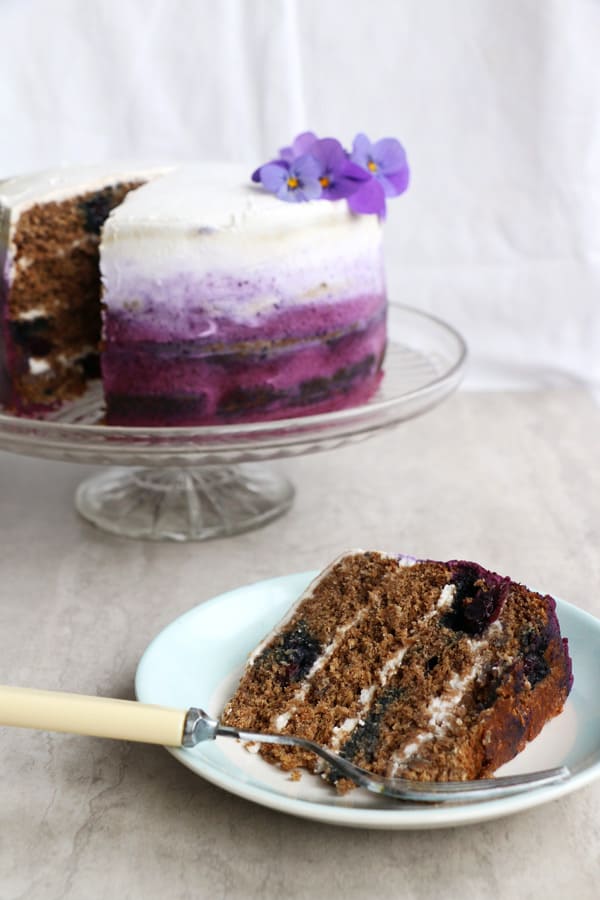 Blueberry Cake with Coconut Frosting (gluten-free & vegan)