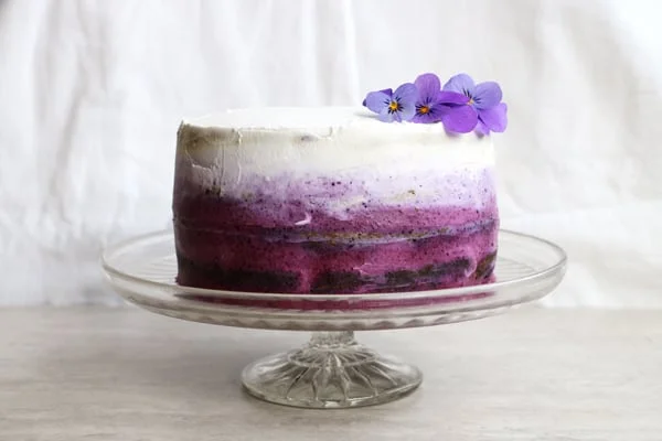 Blueberry Cake with Coconut Frosting (gluten-free & vegan)
