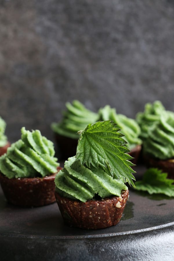 raw chocolate cupcakes with nettle frosting (grain-free & vegan)