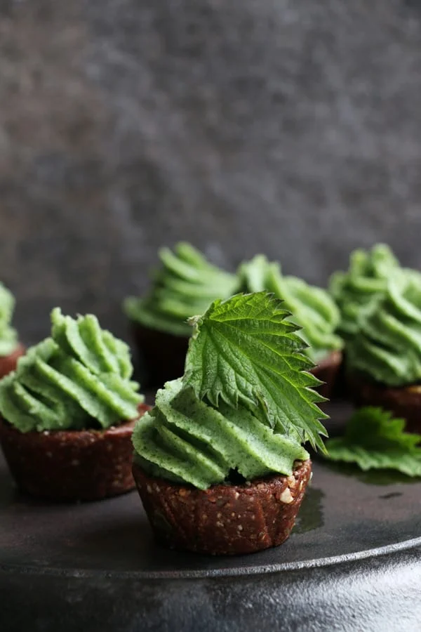 Raw Chocolate Cupcakes with Nettle Frosting (grain-free & vegan)