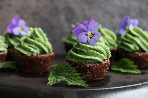 Raw Chocolate Cupcakes with Nettle Frosting (grain-free & vegan)