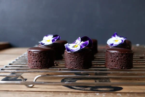 Vegan Brownie Petit Fours (gluten-free, nut-free)