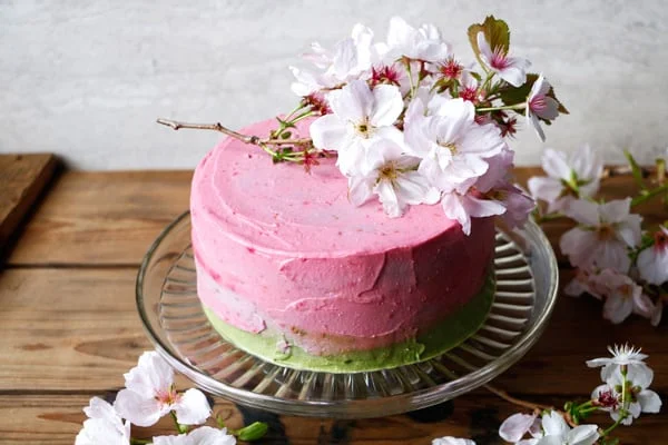 Raspberry Matcha Celebration Cake (gluten-free & vegan)