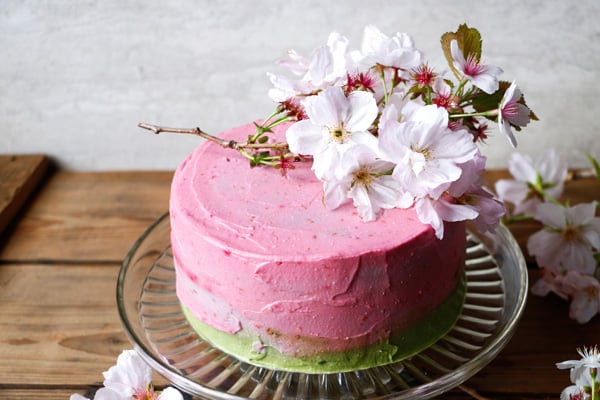 Raspberry Matcha Celebration Cake (gluten-free & vegan)
