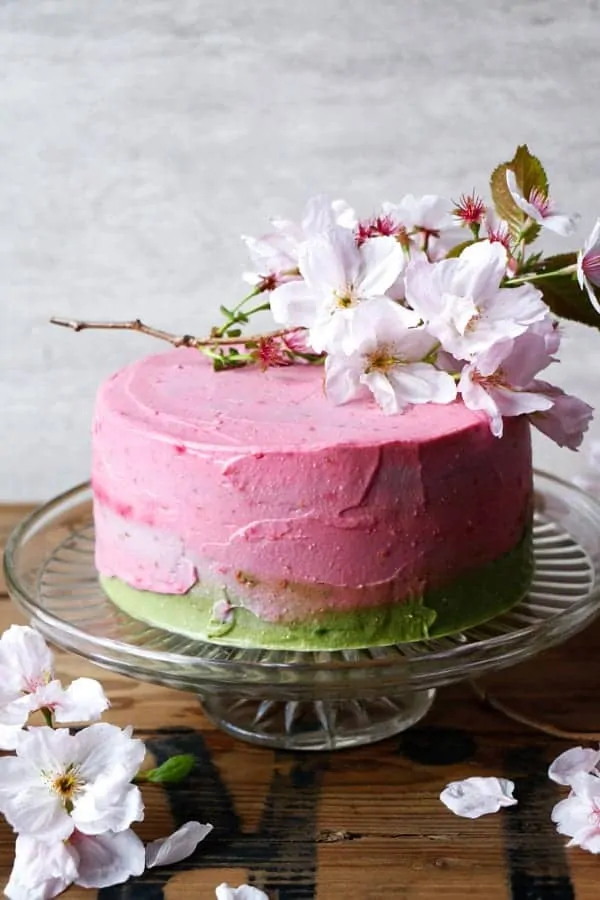 Raspberry Matcha Celebration Cake (gluten-free & vegan)