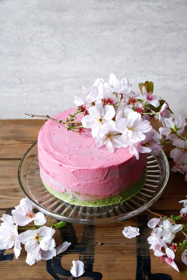 Raspberry Matcha Celebration Cake (gluten-free & vegan)