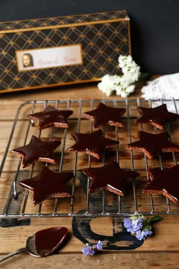Chocolate Star Cookies (gluten-free & vegan)