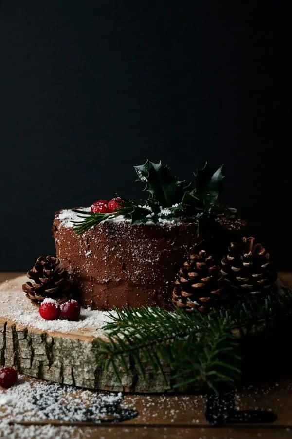 Vegan Chocolate Christmas Cake (gluten-free, nut-free)