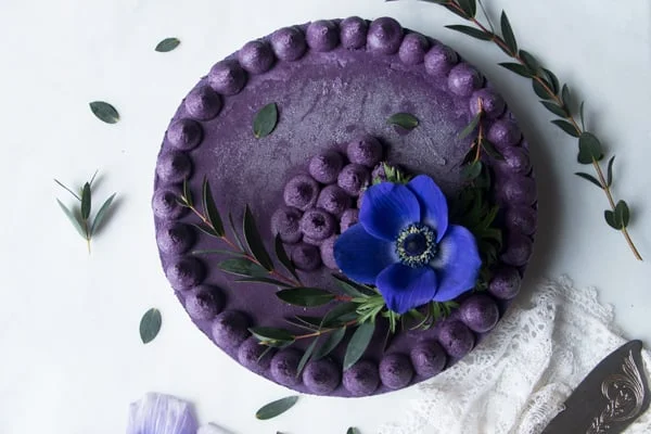 Wild Blueberry Vegan Cheesecake