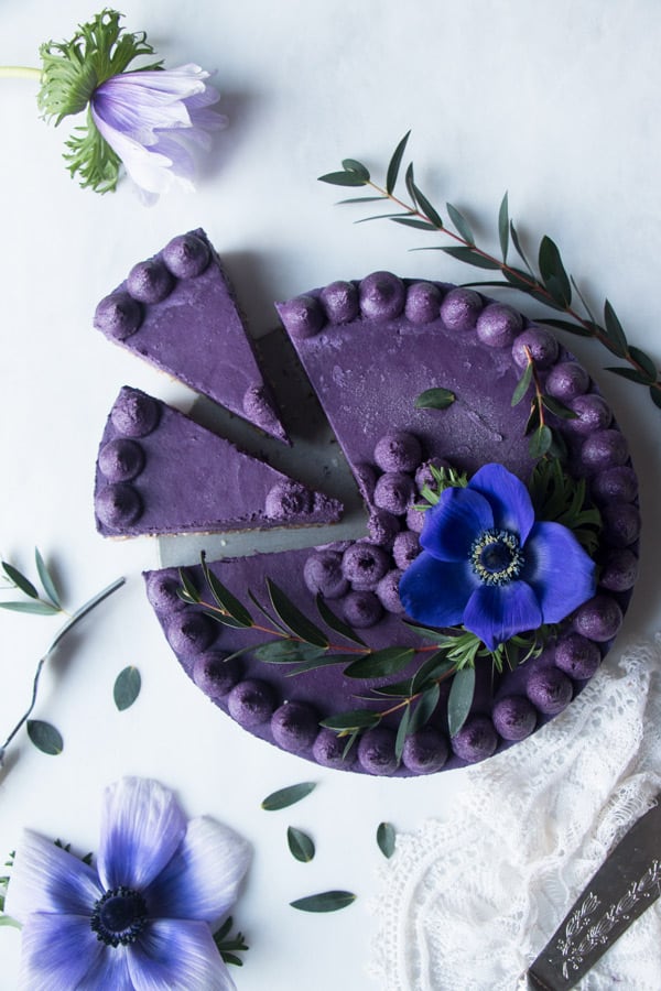 Wild Blueberry Vegan Cheesecake