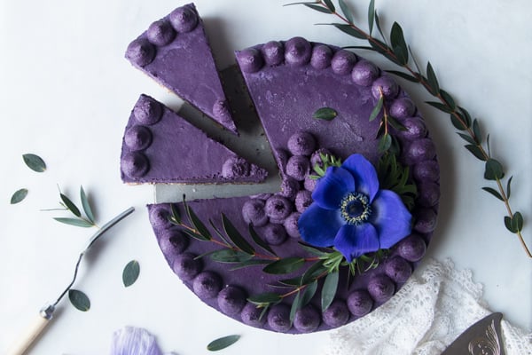 Wild Blueberry Vegan Cheesecake