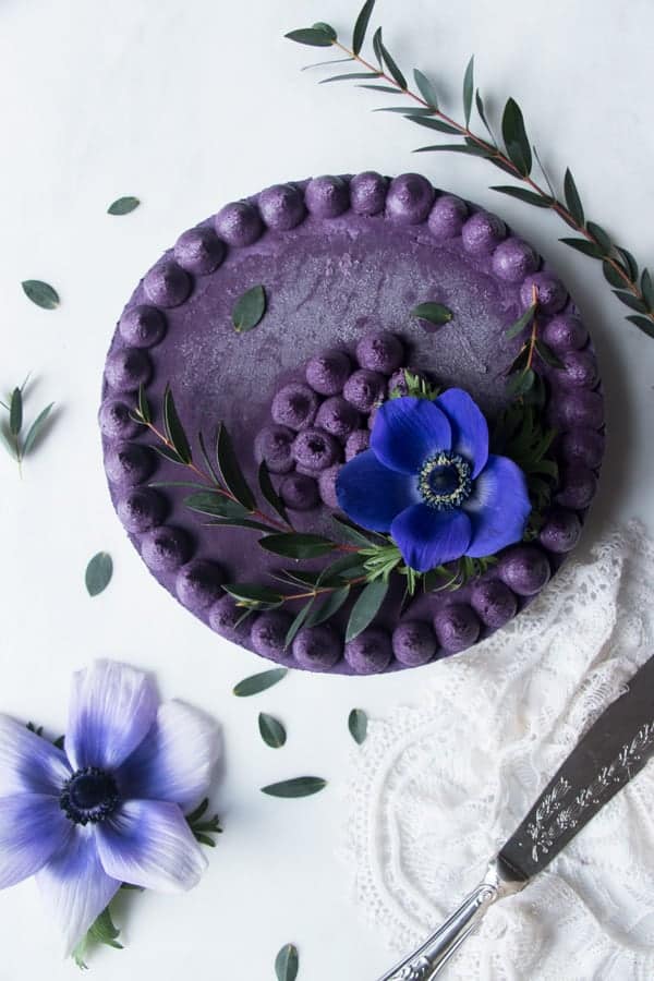 Wild Blueberry Vegan Cheesecake