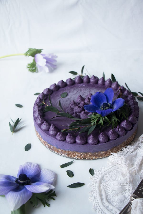 Wild Blueberry Vegan Cheesecake