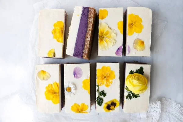 Blueberry Lemon Cheesecake (raw, vegan & grain-free)