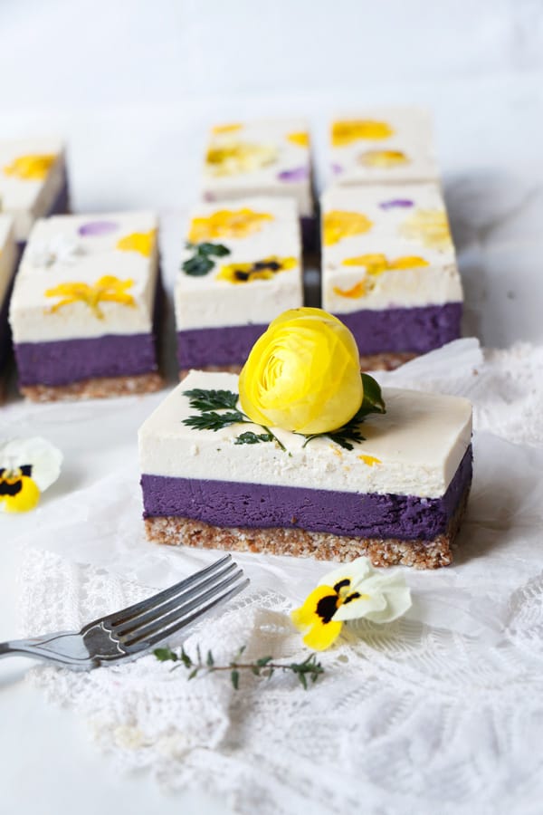 Blueberry Lemon Cheesecake (raw, vegan & grain-free)