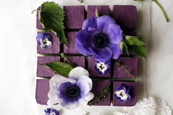 Blueberry Nettle Cheesecake (vegan & grain-free)