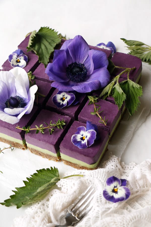 Blueberry Nettle Cheesecake (vegan & grain-free)