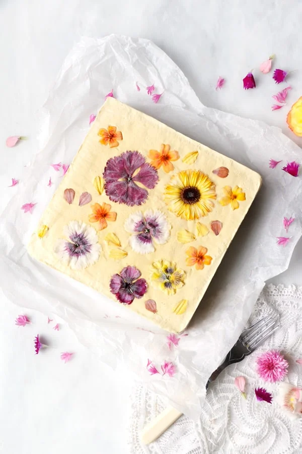 Raspberry Mango Lime Cheesecake (vegan & grain-free)
