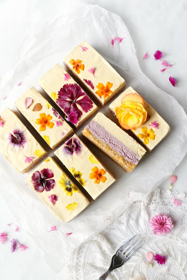 Raspberry Mango Lime Cheesecake (vegan & grain-free)