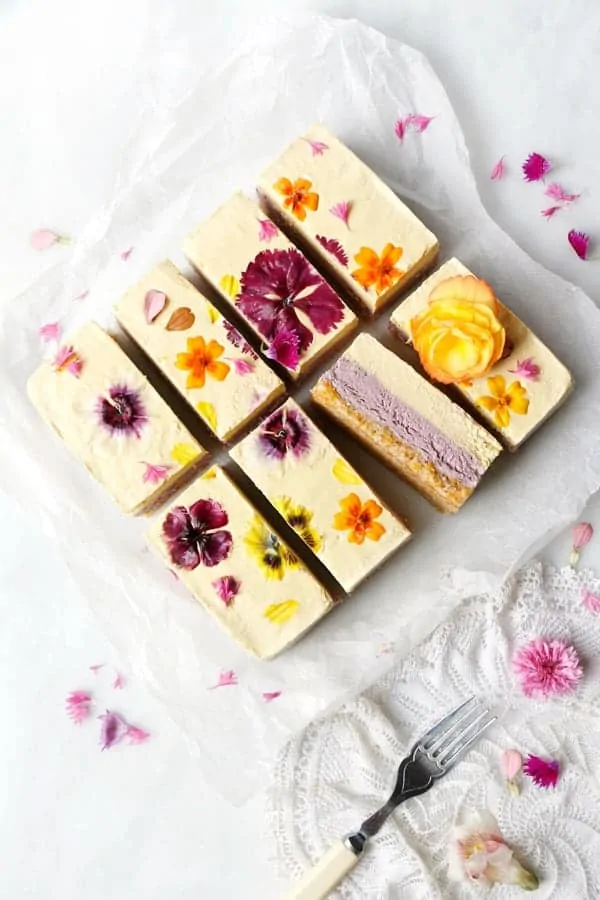 Raspberry Mango Lime Cheesecake (vegan & grain-free)
