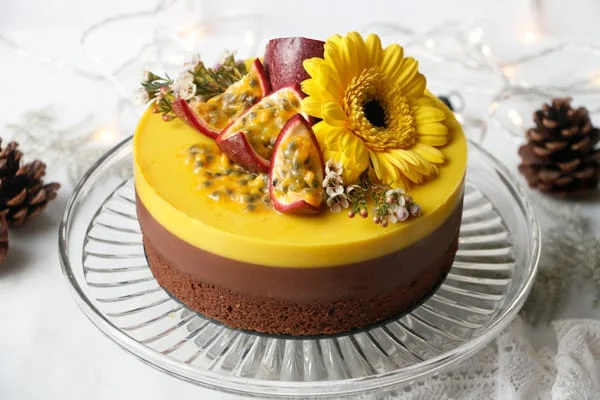 Chocolate Passion Fruit Entremet Cake (vegan & gluten-free)