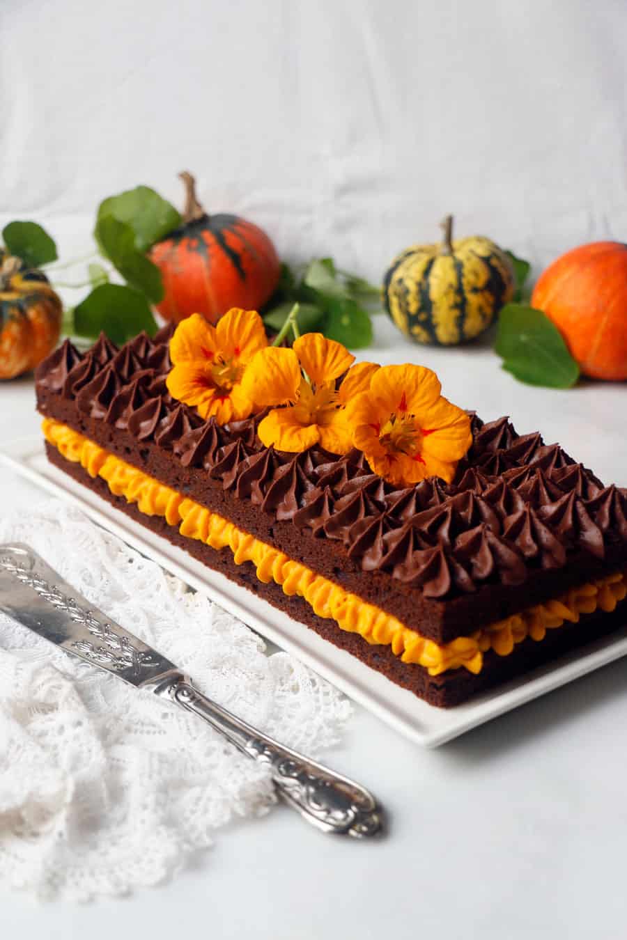 Pumpkin Chocolate Gateau (vegan & gluten-free)