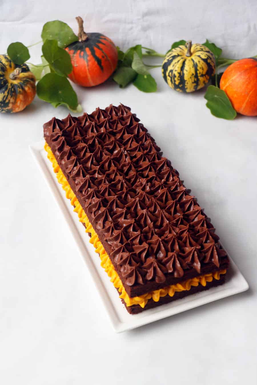 Pumpkin Chocolate Gateau (vegan & gluten-free)