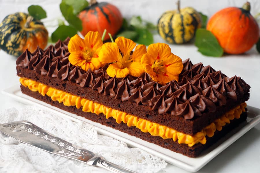 Pumpkin Chocolate Gateau (vegan & gluten-free)