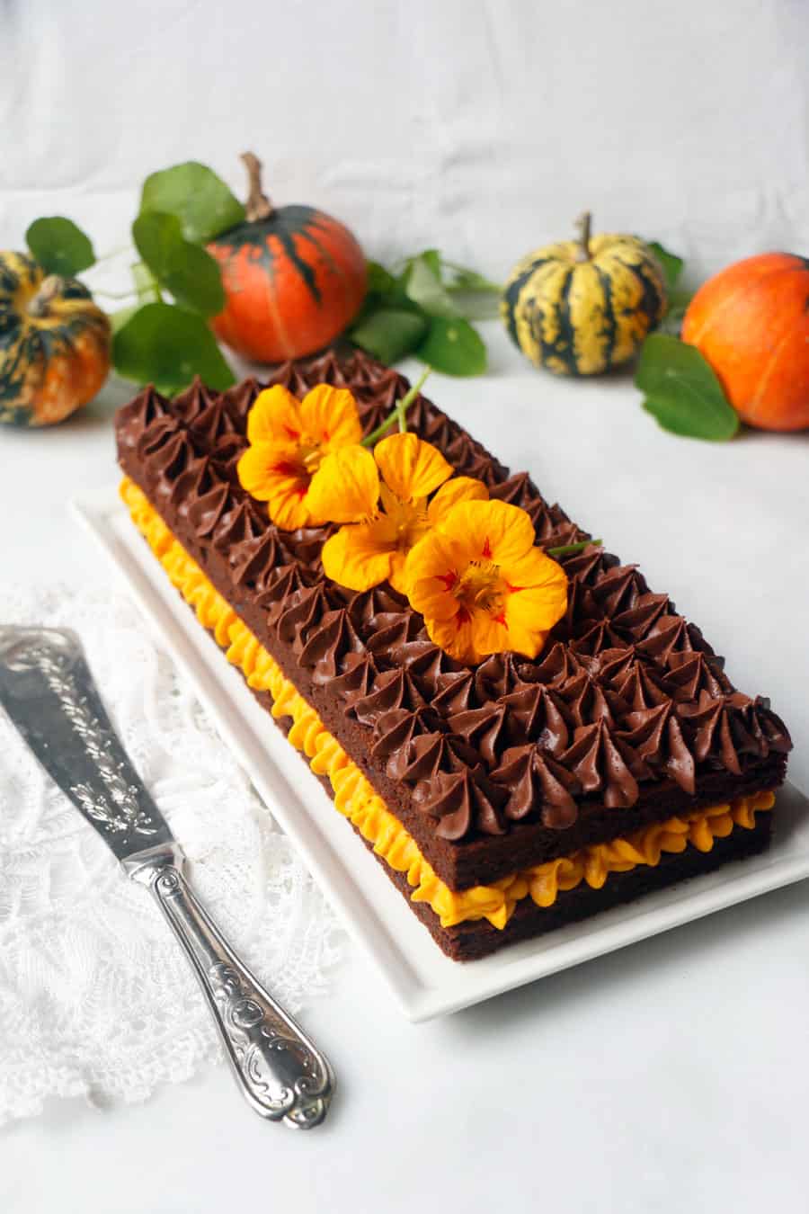 Pumpkin Chocolate Gateau (vegan & gluten-free)