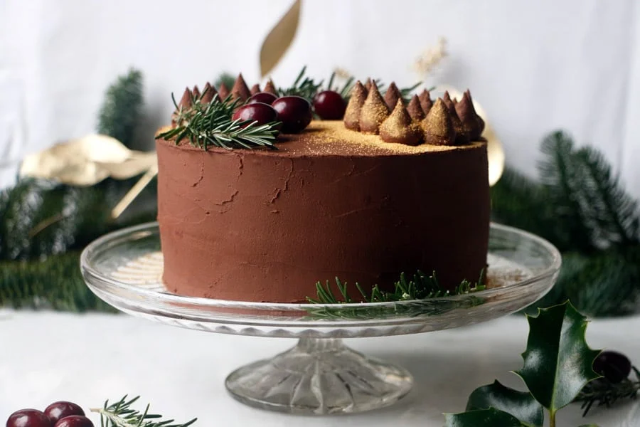 Chocolate Cranberry Orange Cake (vegan & grain-free)