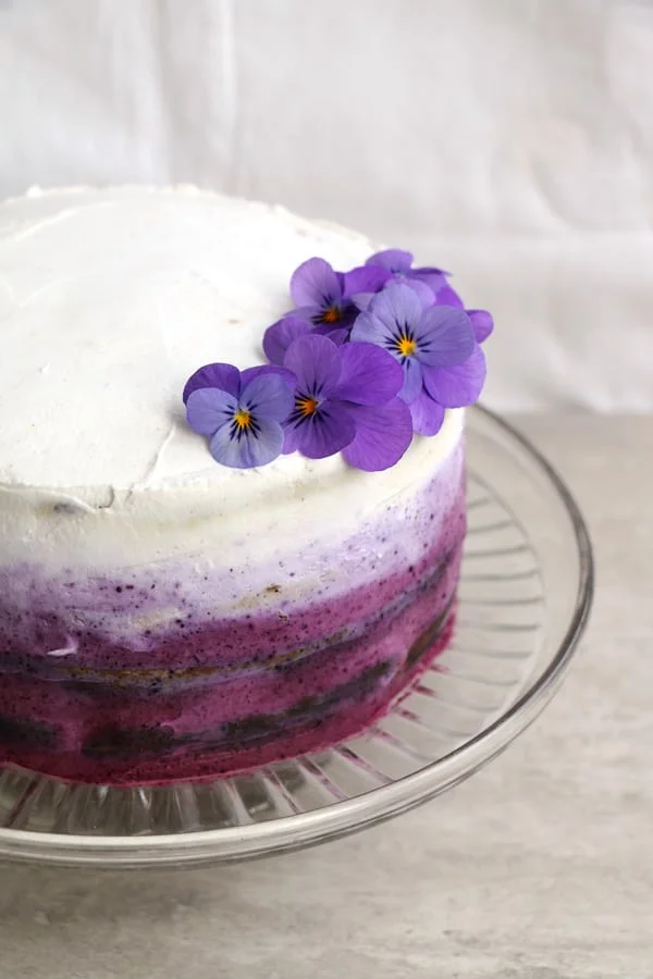 Blueberry Banana Cake with Coconut Frosting